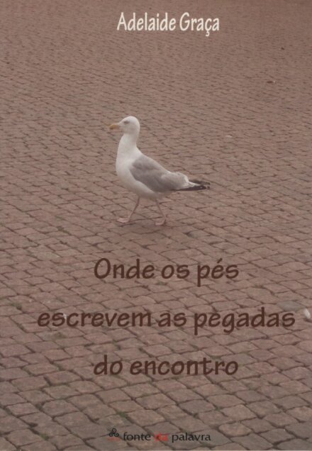 Onde os Pés Escrevem as Pegadas do Encontro
