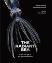 The Radiant Sea