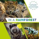Explore Ecosystems: In a Rainforest