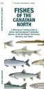 Fishes of the Canadian North
