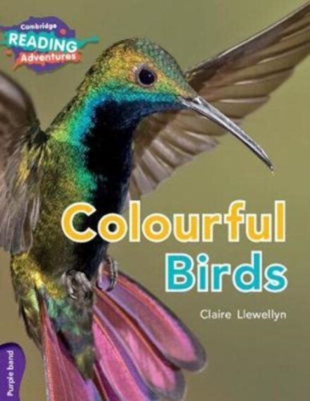 Purple Colourful Birds