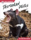 Tasmanian Devils