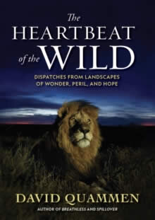 The Heartbeat Of The Wild