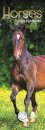 Horses Slim Calendar 2026