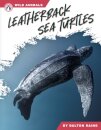 Leatherback Sea Turtles