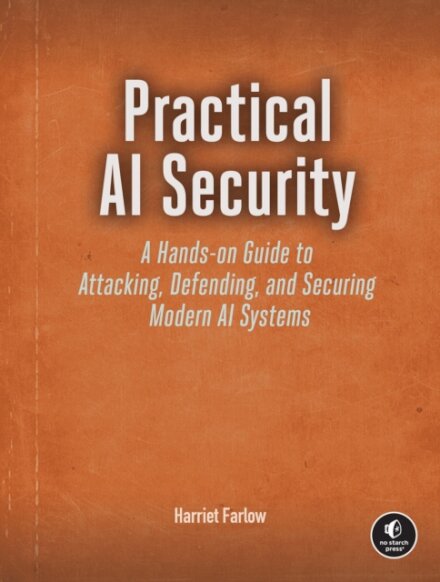 Practical AI Security