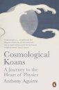 Cosmological Koans