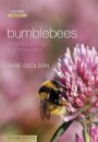 Bumblebees