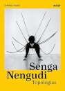 Senga Nengudi: Topologias