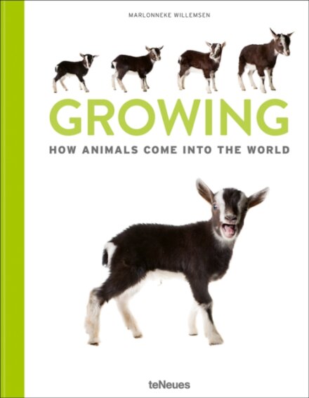 Growing