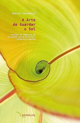 A Arte De Guardar O Sol