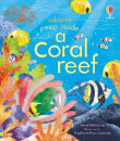 Peep Inside A Coral Reef