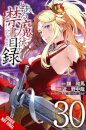 A Certain Magical Index, Vol. 30 (manga)