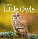 Audubon Little Owls Mini Wall Calendar 2026