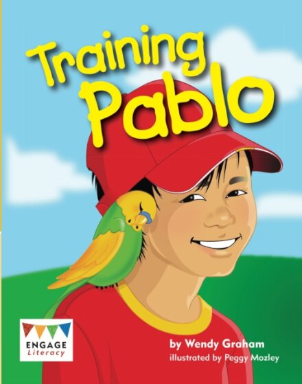 Engage Literacy White Pack A