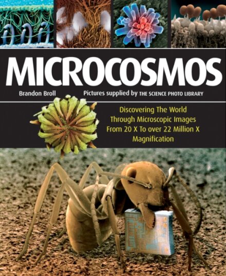 Microcosmos