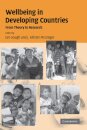 Wellbeing in Developing Countries
