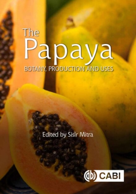 The Papaya