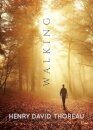 Walking