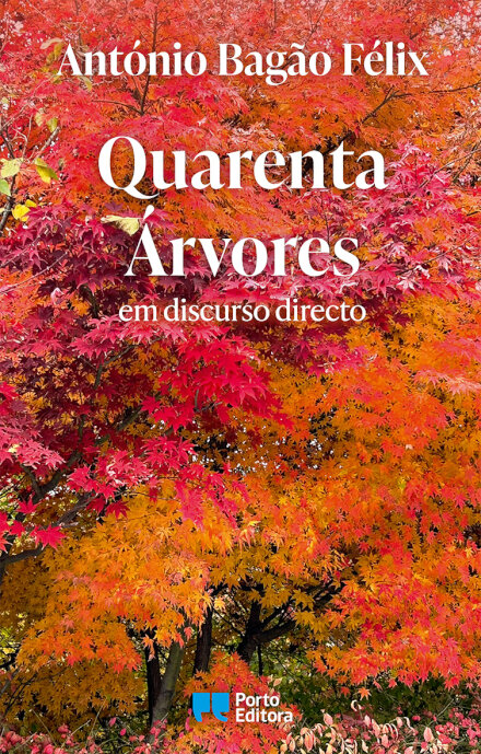 Quarenta árvores - em discurso directo