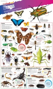 Dk Findout! Bugs Poster