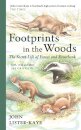 Footprints in the Woods