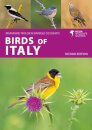 Birds Of Italy