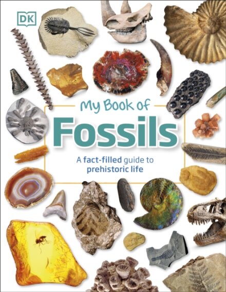 My Book Of Fossils