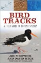 Bird Tracks