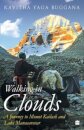 Walking in Clouds