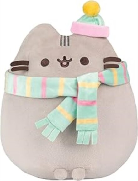 COZY WINTER PUSHEEN