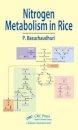 Nitrogen Metabolism in Rice
