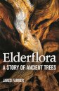 Elderflora