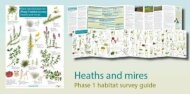 Plant identification for Phase 1 habitat survey: heaths and meres