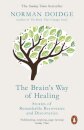 The Brain’S Way Of Healing