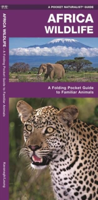 African Wildlife