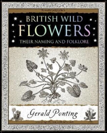 British Wild Flowers