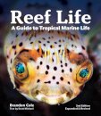Reef Life