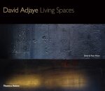 David Adjaye