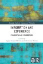 Imagination and Experience