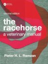 The Racehorse