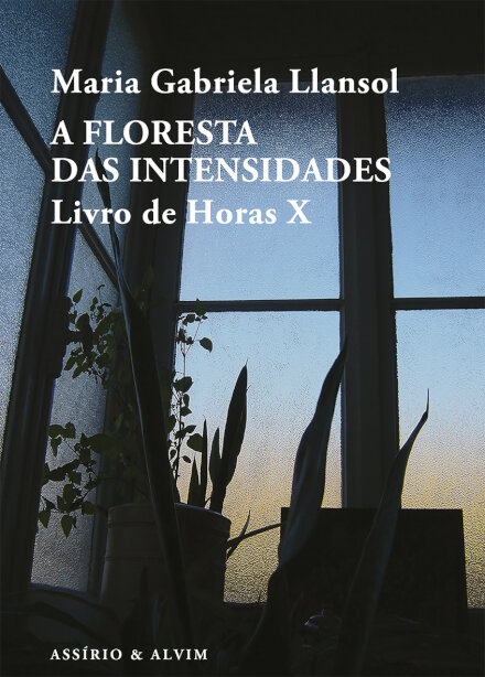 A Floresta das Intensidades - Livro de Horas X