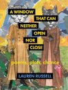 A Window That Can Neither Open Nor Close