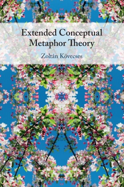 Extended Conceptual Metaphor Theory