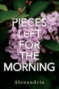 Pieces Left for the Morning