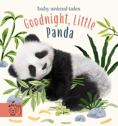Baby Animals Panda