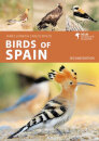 Birds Of Spain