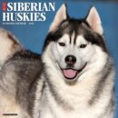 Just Siberian Huskies 2025 12 X 12 Wall Calendar