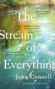 The Stream of Everything