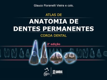 Atlas De Anatomia De Dentes Permanentes Coroa Dental